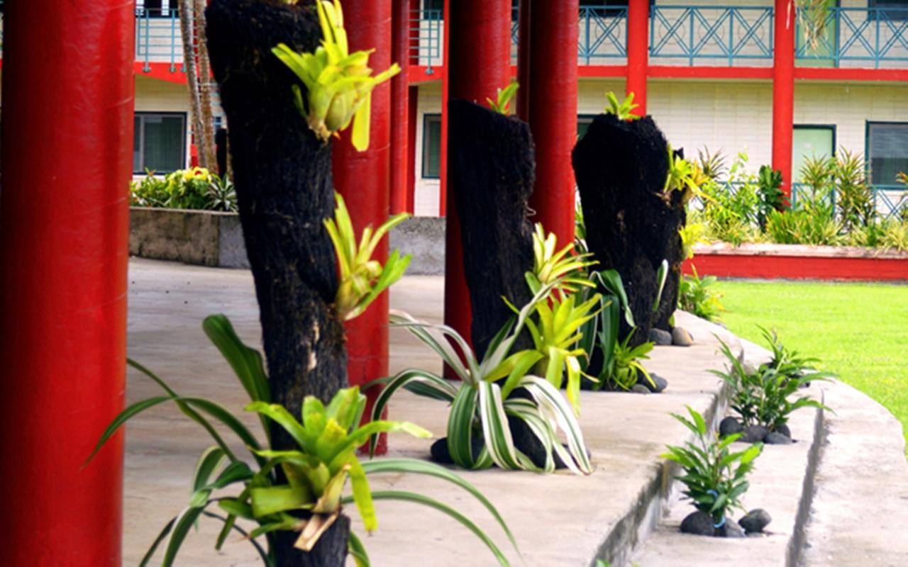 The St Therese Samoa Retreat And Accommodation Tuana'i Ngoại thất bức ảnh